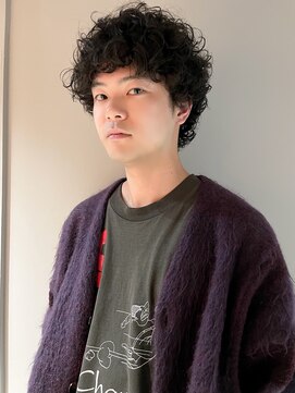 サル 代官山(SAL) 【SAL】ムロツヨシ風ニュアンスプードルヘア＊菅原誠＊