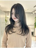レイヤーカット/レイヤースタイル/ブルーブラック/10代/20代