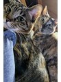 ジ オスカー(THE OSCAR) 可愛い猫ちゃん飼ってます♪