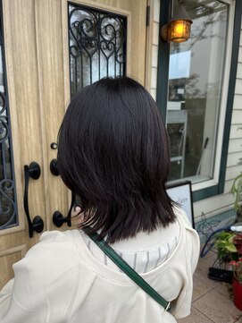 チョコレート(chocolate) ソフトウルフ