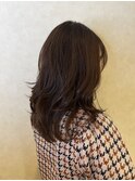 ハイレイヤー×エドルカラー