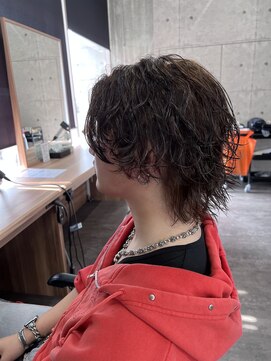 ラン バイ ラテ(LAN by LATTE) 人気上昇中!サーフカール