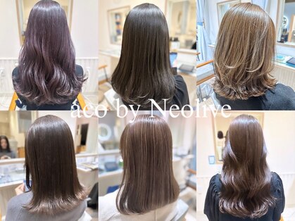 アコバイネオリーブ(aco by Neolive)の写真
