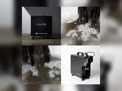 リビス(ribis)の写真