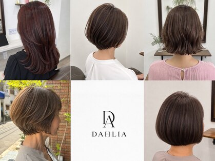 ダリア(DAHLIA)の写真