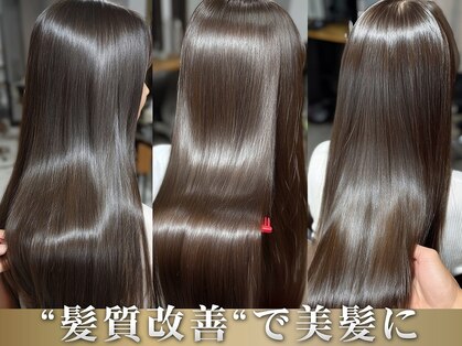 ディアーズ(Dears)の写真