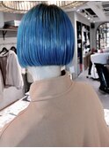 ミニボブ　ターコイズブルー　ダブルカラー