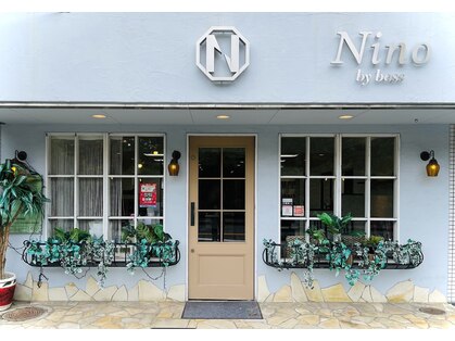 ニーノ(Nino)の写真