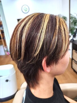 シード(Seed) メッシュ