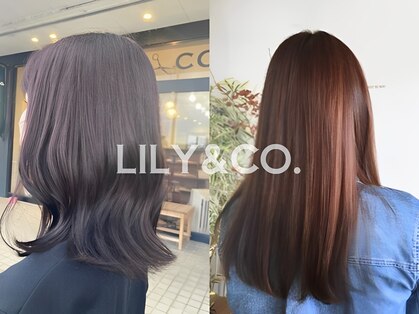 リリーアンドコー(LILY&CO.)の写真