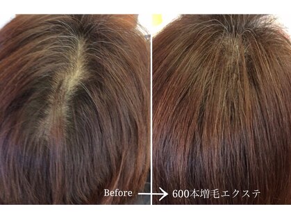 ルートヘアー 湘南茅ヶ崎店(Route hair)の写真