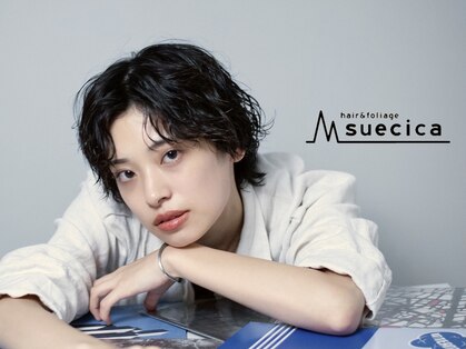 スエシカ(hair&foliage suecica)の写真