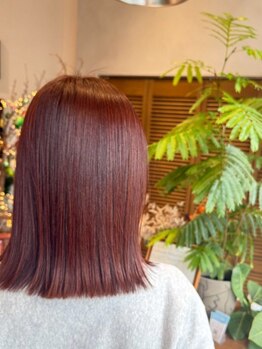Palms Hair【パームスヘアー】【10月31日NEW OPEN(予定)】の写真/【髪質改善Oggiトリートメント】髪のお悩みを解消!厳選されたトリートメントで毛先まで潤う感動のツヤ髪へ