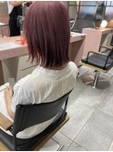 ピンクラベンダー