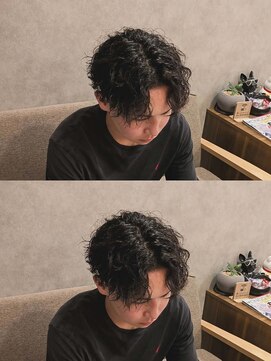 レベンディス(LEVENDIS) ツイスパ/センター