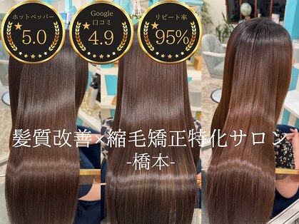 ソラ(SORA)の写真