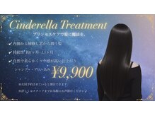 【シンデレラTR】1番高級で効果を実感できる髪質改善【四日市/改質改善/ブリーチ/縮毛矯正/ショート/ボブ】
