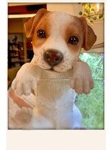 フェイバリット ヘアー プロデュース フィット(Favorite Hair Produce Fit) Fit bow wow