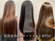 ピスコ(pisco)