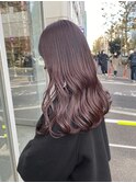 ピンクラベンダー