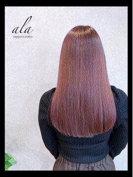 アラ サッポロ アサブ(ala sapporo asabu) 【ALA】カシミアストレート