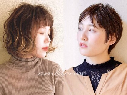 アンビエンス(ambience)の写真