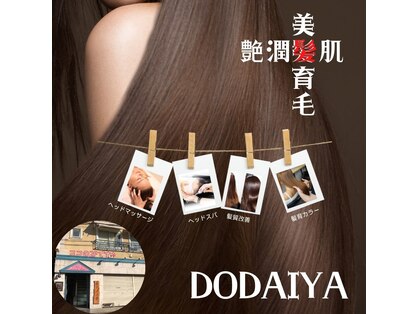 ドダイヤ(DODAIYA)の写真