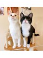 ミルコ バイ クラク(MIRUCO by KURAKU)&nbsp;猫が大好きで、２匹飼っています！(=^x^=)