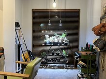 エマ(EMMA)の雰囲気（グラキリス育ててます。）