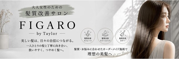 フィガロ バイ テイラー(FIGARO by Taylor)のサロンヘッダー