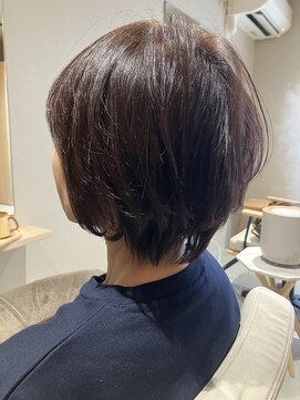 本と南風 guest design