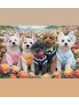 トッカ 小田原店(tocca) かわいい愛犬大集合です!(笑)流行りのChatGPTしました。(笑)