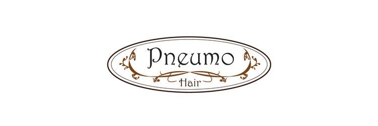 ニューモヘアー 立川(Pneumo hair)のサロンヘッダー