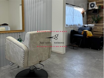 トリノス(torinosu)の写真