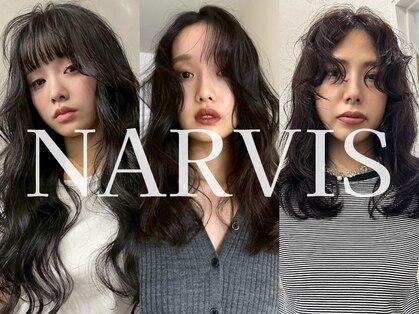ナービス(NARVIS)の写真