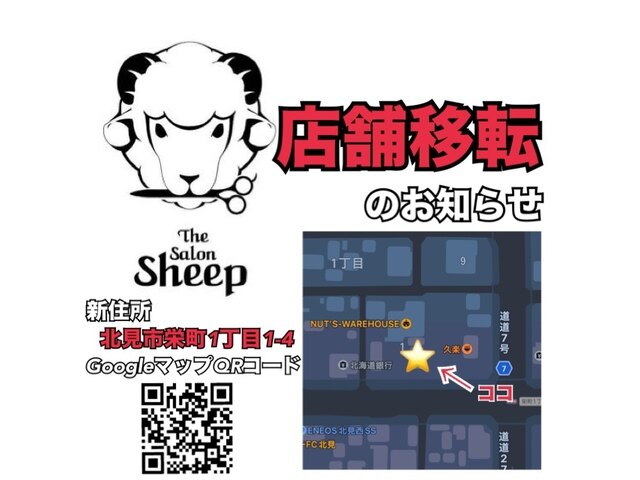 シープ(The Salon Sheep)