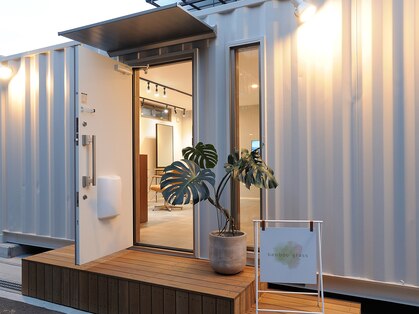 バンブー グラス(bamboo grass)の写真