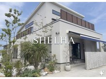 シェルハ(SHELHA)