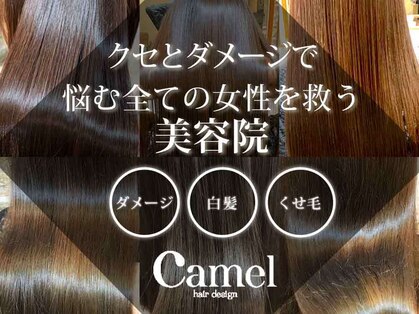キャメル ヘアーデザイン(Camel hairdesign)の写真