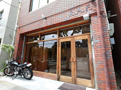 ラフ(R.A.F.)の写真
