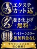 【ハイライトのみ】100%レミーヘアシールエクステ17本￥5,500