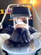 スリーハーツ(3-HEART'S)の写真/ヘアケアのスペシャリストが、一人ひとりの頭皮や髪質に合った薬剤選定◇憧れの潤いたっぷりの美髪が叶う♪