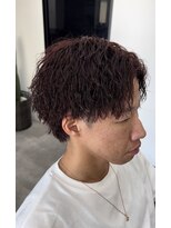 プレズィール(Plaisir)&nbsp;ブリーチなしレッドブラウン×ツイスパ
