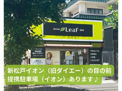 リーフ 新松戸(LeaF)の写真