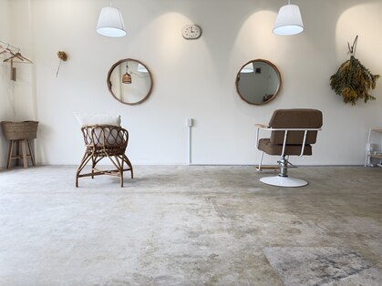 モク(mok)の写真