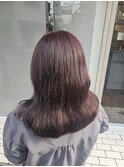 ピンクラベンダー