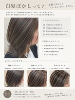 ライツ オオサカ(Litze osaka) 白髪ぼかしハイライト【中阪】