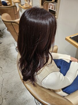 トリート 浦安店(TREAT) チョコレートブラウン_TRET浦安