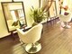 オーブヘアー(ORB hair)の写真