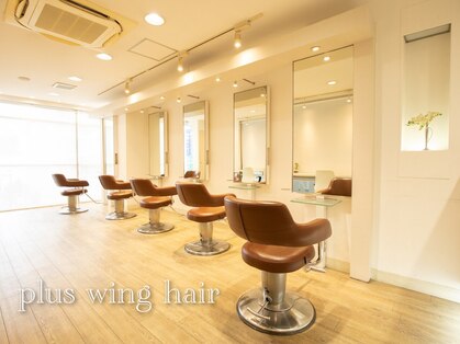 プラスウイング 鶴川(+ WING)の写真